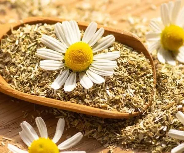 بابونج  125 جم