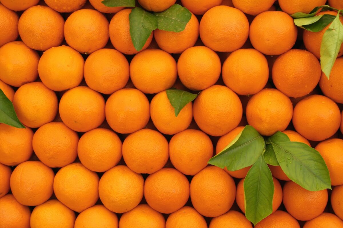 اصانص برتقال ٣٠ جم - Image 1
