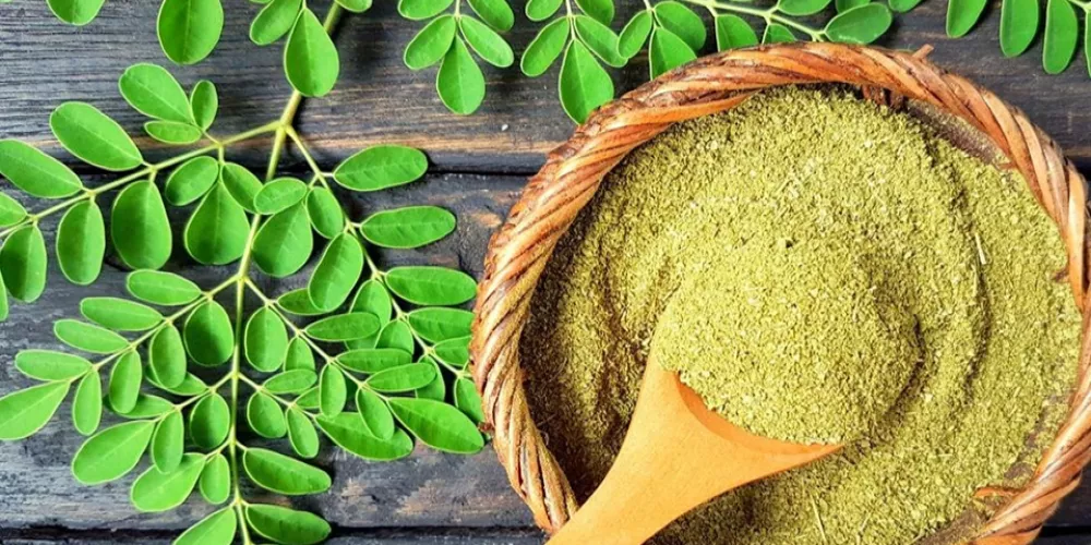 8a84e0298f66b510d777a60809cfe0af.png ورق المورينجا 125 جم - Image 1