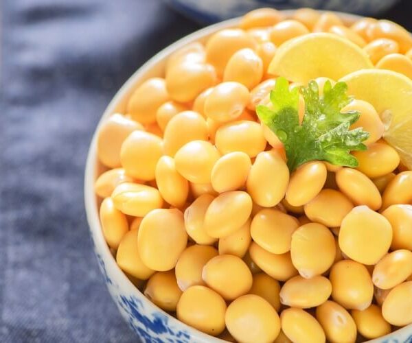 ترمس حلو 1 كج